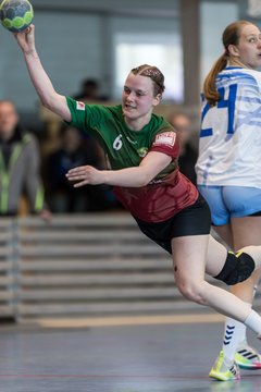 Bild 195 - F HSG Kremperheide/Muensterdorf - ATSV Stockelsdorf 2 : Ergebnis: 47:32